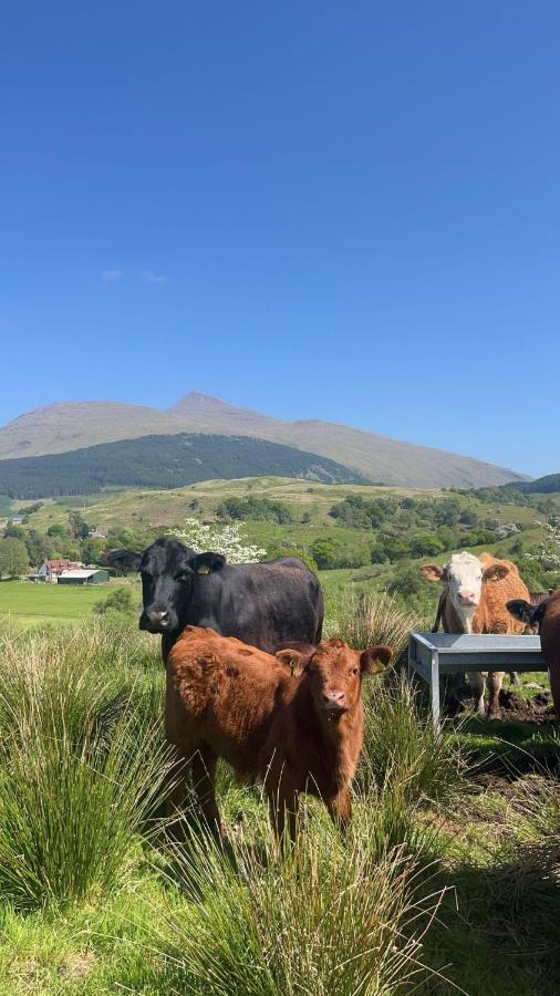 Tigh Na Cille Studio, Taynuilt Dış mekan fotoğraf